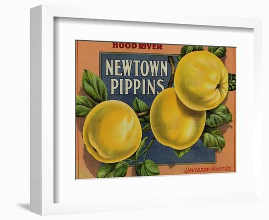 Fruit Crate Labels: Newtown Pippins; Davidson Fruit Company-null-Framed Art Print