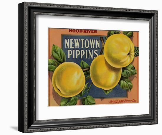 Fruit Crate Labels: Newtown Pippins; Davidson Fruit Company-null-Framed Art Print