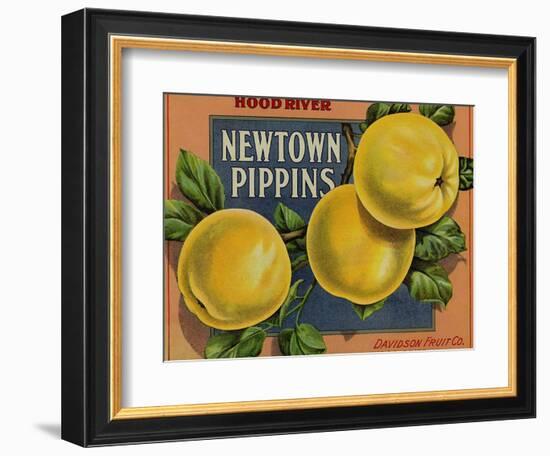 Fruit Crate Labels: Newtown Pippins; Davidson Fruit Company-null-Framed Art Print