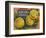 Fruit Crate Labels: Newtown Pippins; Davidson Fruit Company-null-Framed Art Print