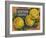 Fruit Crate Labels: Newtown Pippins; Davidson Fruit Company-null-Framed Art Print