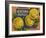 Fruit Crate Labels: Newtown Pippins; Davidson Fruit Company-null-Framed Art Print