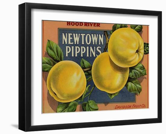 Fruit Crate Labels: Newtown Pippins; Davidson Fruit Company-null-Framed Art Print