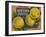 Fruit Crate Labels: Newtown Pippins; Davidson Fruit Company-null-Framed Art Print