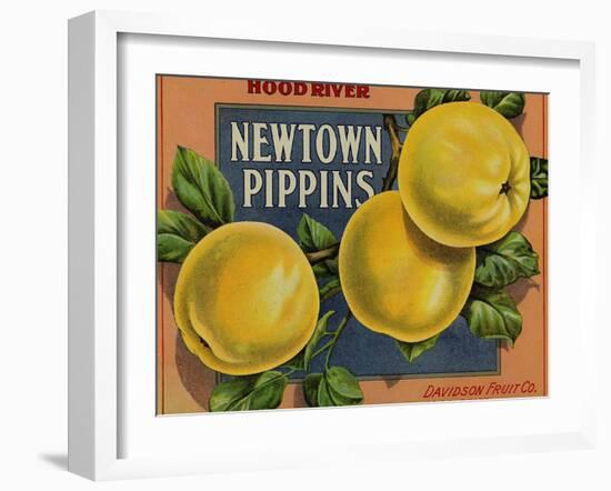 Fruit Crate Labels: Newtown Pippins; Davidson Fruit Company-null-Framed Art Print