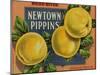 Fruit Crate Labels: Newtown Pippins; Davidson Fruit Company-null-Mounted Art Print