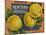 Fruit Crate Labels: Newtown Pippins; Davidson Fruit Company-null-Mounted Art Print