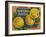 Fruit Crate Labels: Newtown Pippins; Davidson Fruit Company-null-Framed Art Print