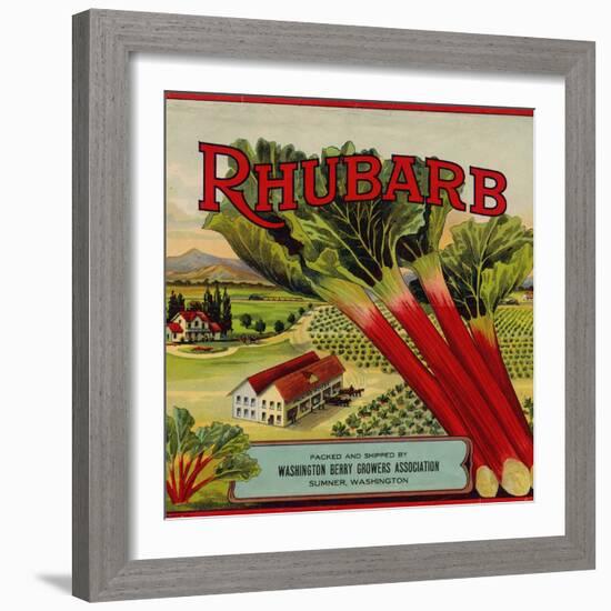 Fruit Crate Labels: Rhubarb; Packed and Shipped by Washington Berry Growers Association-null-Framed Art Print