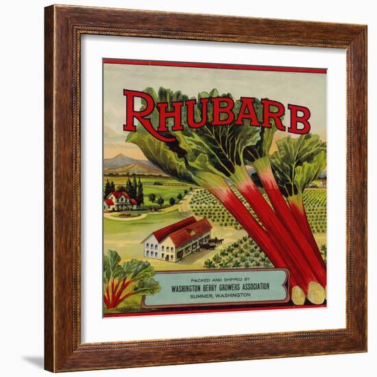 Fruit Crate Labels: Rhubarb; Packed and Shipped by Washington Berry Growers Association-null-Framed Art Print