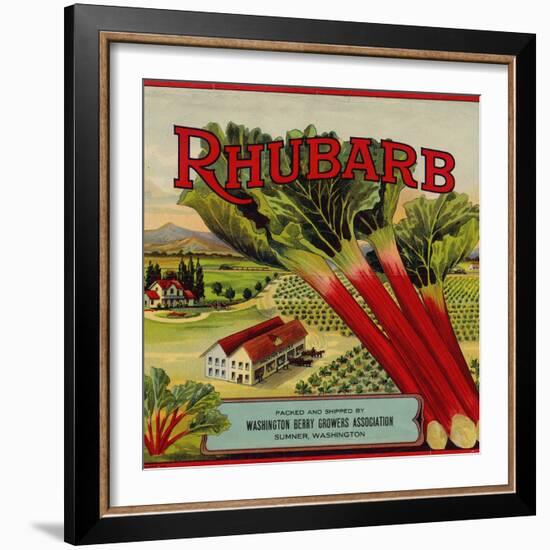 Fruit Crate Labels: Rhubarb; Packed and Shipped by Washington Berry Growers Association-null-Framed Art Print