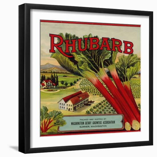 Fruit Crate Labels: Rhubarb; Packed and Shipped by Washington Berry Growers Association-null-Framed Art Print