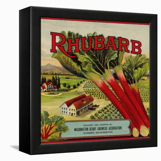 Fruit Crate Labels: Rhubarb; Packed and Shipped by Washington Berry Growers Association-null-Framed Stretched Canvas