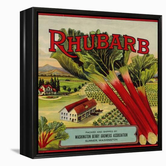 Fruit Crate Labels: Rhubarb; Packed and Shipped by Washington Berry Growers Association-null-Framed Stretched Canvas