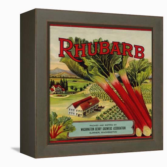 Fruit Crate Labels: Rhubarb; Packed and Shipped by Washington Berry Growers Association-null-Framed Stretched Canvas