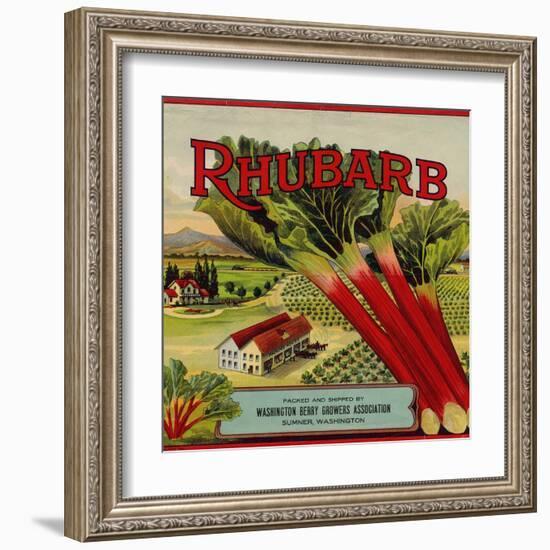 Fruit Crate Labels: Rhubarb; Packed and Shipped by Washington Berry Growers Association--Framed Art Print