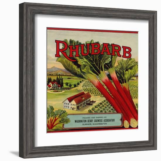 Fruit Crate Labels: Rhubarb; Packed and Shipped by Washington Berry Growers Association-null-Framed Art Print