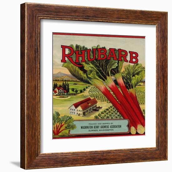 Fruit Crate Labels: Rhubarb; Packed and Shipped by Washington Berry Growers Association-null-Framed Art Print