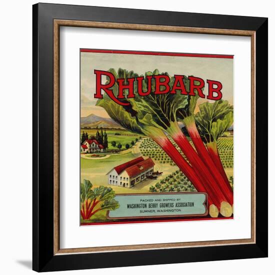 Fruit Crate Labels: Rhubarb; Packed and Shipped by Washington Berry Growers Association-null-Framed Art Print