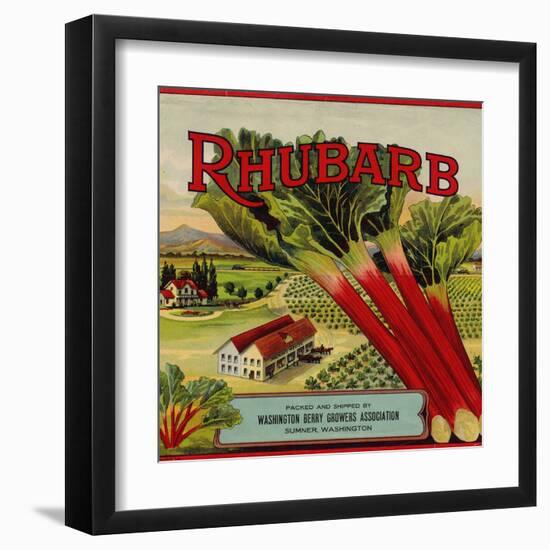 Fruit Crate Labels: Rhubarb; Packed and Shipped by Washington Berry Growers Association--Framed Art Print