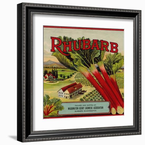 Fruit Crate Labels: Rhubarb; Packed and Shipped by Washington Berry Growers Association-null-Framed Art Print