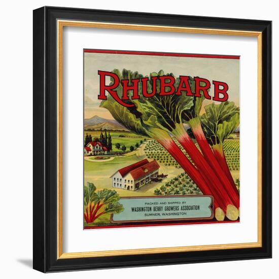 Fruit Crate Labels: Rhubarb; Packed and Shipped by Washington Berry Growers Association--Framed Art Print