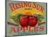 Fruit Crate Labels: Rising Sun Fancy Apples; F.E. Nellis and Company-null-Mounted Art Print