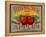 Fruit Crate Labels: Rising Sun Fancy Apples; F.E. Nellis and Company-null-Framed Stretched Canvas