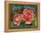 Fruit Crate Labels: Rose Brand Apples; Wenatchee Produce Company-null-Framed Stretched Canvas