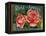 Fruit Crate Labels: Rose Brand Apples; Wenatchee Produce Company-null-Framed Stretched Canvas