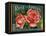 Fruit Crate Labels: Rose Brand Apples; Wenatchee Produce Company-null-Framed Stretched Canvas