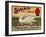 Fruit Crate Labels: Swan Brand Extra Fancy Apples; Perham Fruit Company-null-Framed Art Print