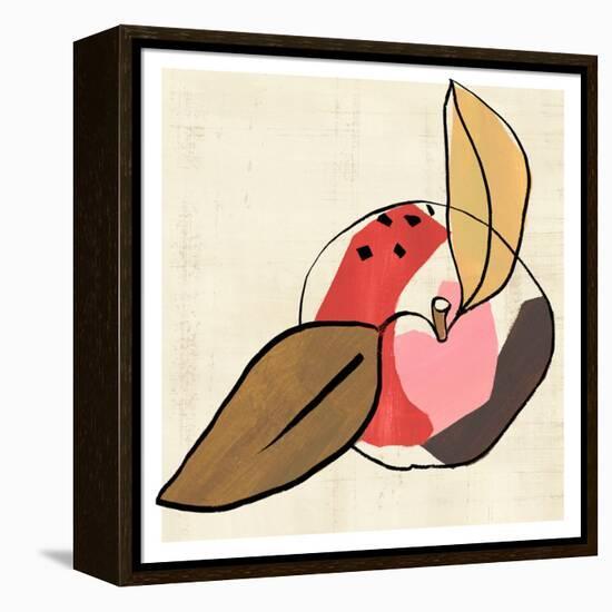 Fruit Cuts I-Annie Warren-Framed Stretched Canvas