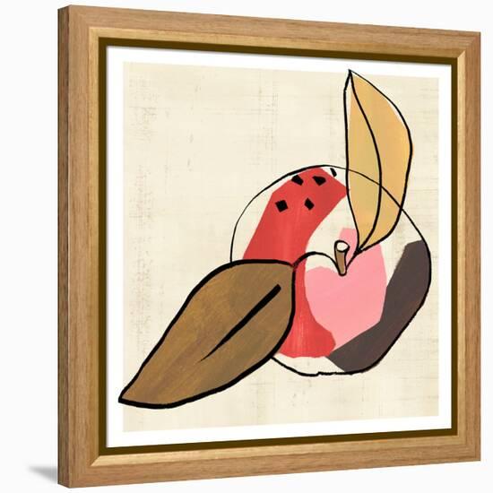 Fruit Cuts I-Annie Warren-Framed Stretched Canvas