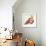 Fruit Cuts I-Annie Warren-Framed Premium Giclee Print displayed on a wall