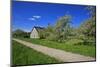 Fruit Farm Between Blossoming Cherry Trees Iat the Estedeich in Kšnigreich, Altes Land Near Hamburg-Uwe Steffens-Mounted Photographic Print