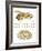 Fruit Fly And Fetus Genetic Similarities-Mikkel Juul-Framed Photographic Print