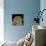 Fruit Fly Head, SEM-Thomas Deerinck-Premium Photographic Print displayed on a wall