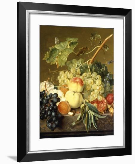 Fruit, Hazelnuts and Hollyhocks on a Marble Ledge-Jan van Huysum-Framed Giclee Print