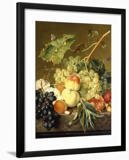 Fruit, Hazelnuts and Hollyhocks on a Marble Ledge-Jan van Huysum-Framed Giclee Print