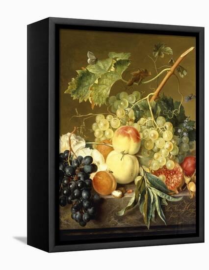 Fruit, Hazelnuts and Hollyhocks on a Marble Ledge-Jan van Huysum-Framed Premier Image Canvas