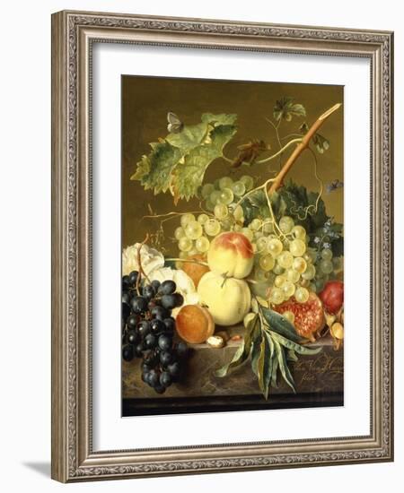 Fruit, Hazelnuts and Hollyhocks on a Marble Ledge-Jan van Huysum-Framed Giclee Print