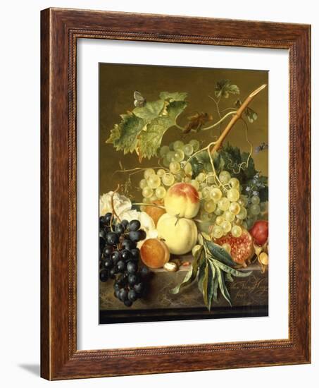 Fruit, Hazelnuts and Hollyhocks on a Marble Ledge-Jan van Huysum-Framed Giclee Print