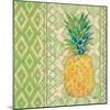 Fruit Ikat I-Paul Brent-Mounted Art Print