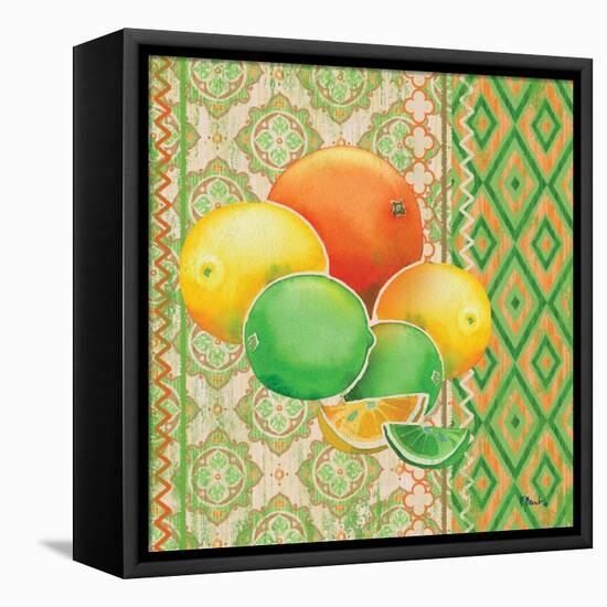 Fruit Ikat IV-Paul Brent-Framed Stretched Canvas