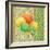 Fruit Ikat IV-Paul Brent-Framed Art Print