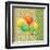 Fruit Ikat IV-Paul Brent-Framed Art Print