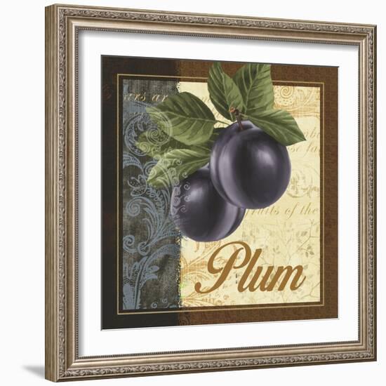 Fruit Illustration IV-Abby White-Framed Art Print