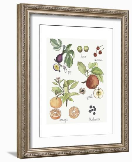 Fruit Medley I-Naomi McCavitt-Framed Art Print