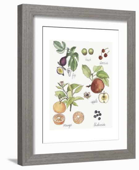 Fruit Medley I-Naomi McCavitt-Framed Art Print